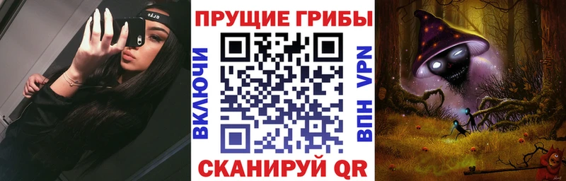 Псилоцибиновые грибы Cubensis  Циолковский 